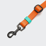 Detail of Dog Hands Free Leash Biothane Orange Aqua