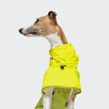 Dog Raincoat AKTIV Neon Green/Light Olive