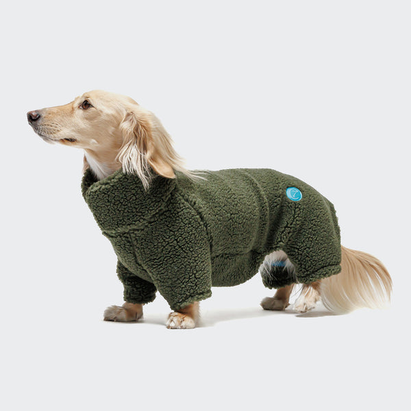Dachshund Sweater Cornwall Teddy Olive | CLOUD7