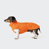 Dachshund Sweater Derby Orange