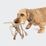 Hundespielzeug Mosquito Momo