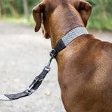 Hundehalsband Grunewald Blue - Coffee