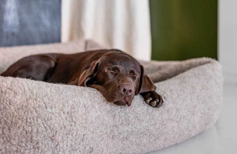 THE CLOUD7 BED GUIDE