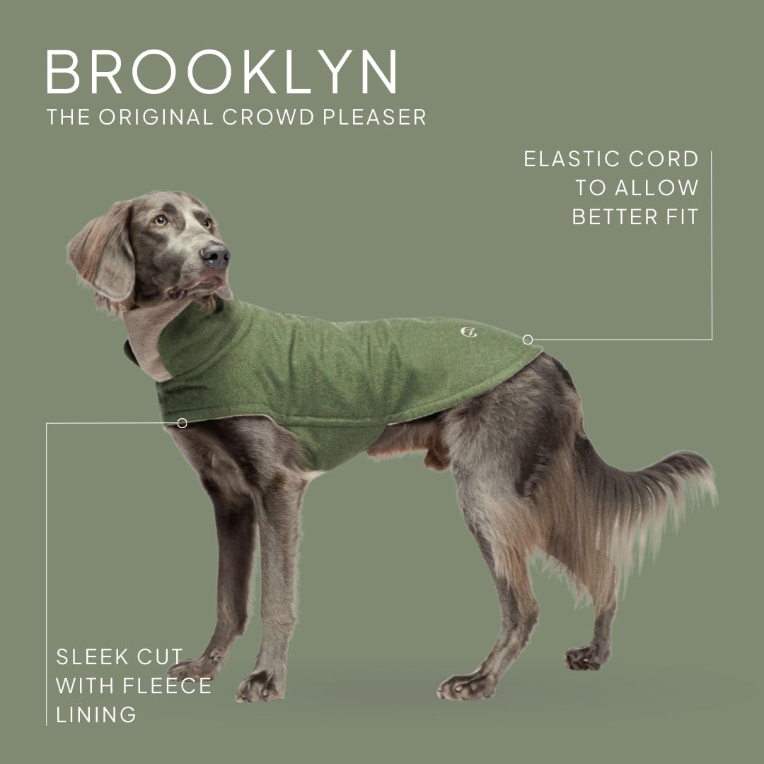 Buy Dog Coat Brooklyn Flannel Fern Green online