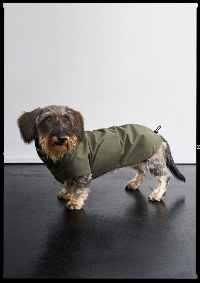 FW25_DackelMantel_Mobile.jpg?v