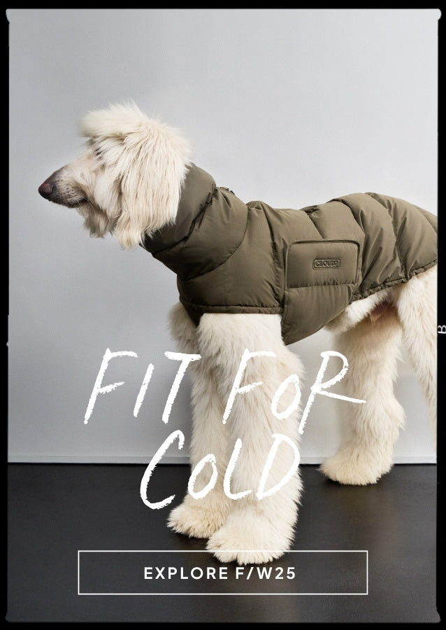 CLOUD7 - Buy high-quality & stylish products for your dog