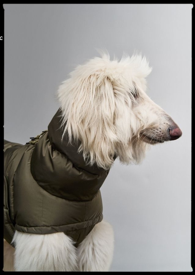 Warm Dog Coats With Harness Hole| CLOUD7