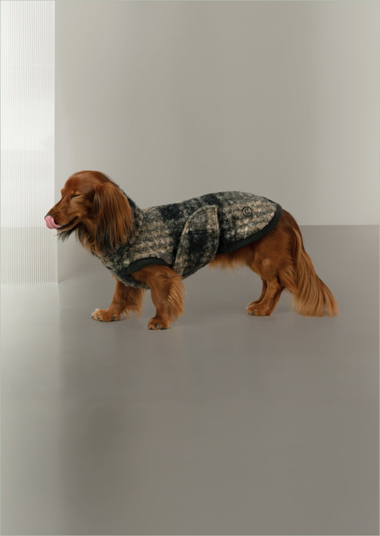 CLOUD7 - Buy high-quality & stylish products for your dog