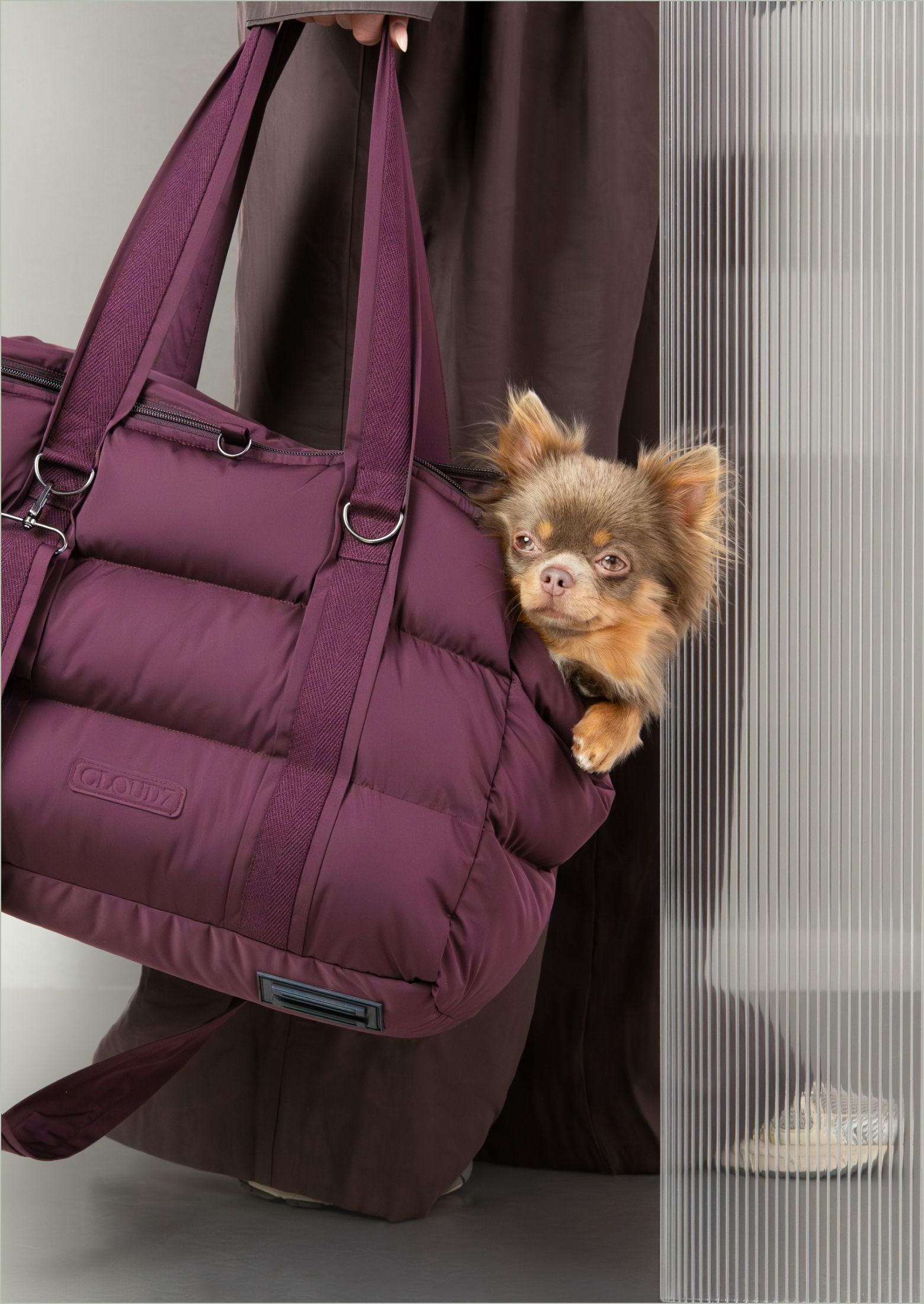 Dog Carriers & Handbags for Small and Medium Dogs | CLOUD7