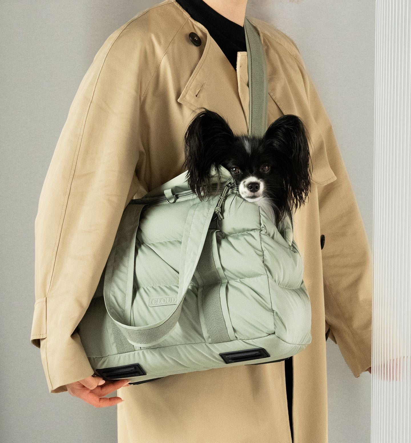CLOUD7 - Buy high-quality & stylish products for your dog