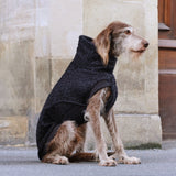 Hundepullover Gotland Anthra