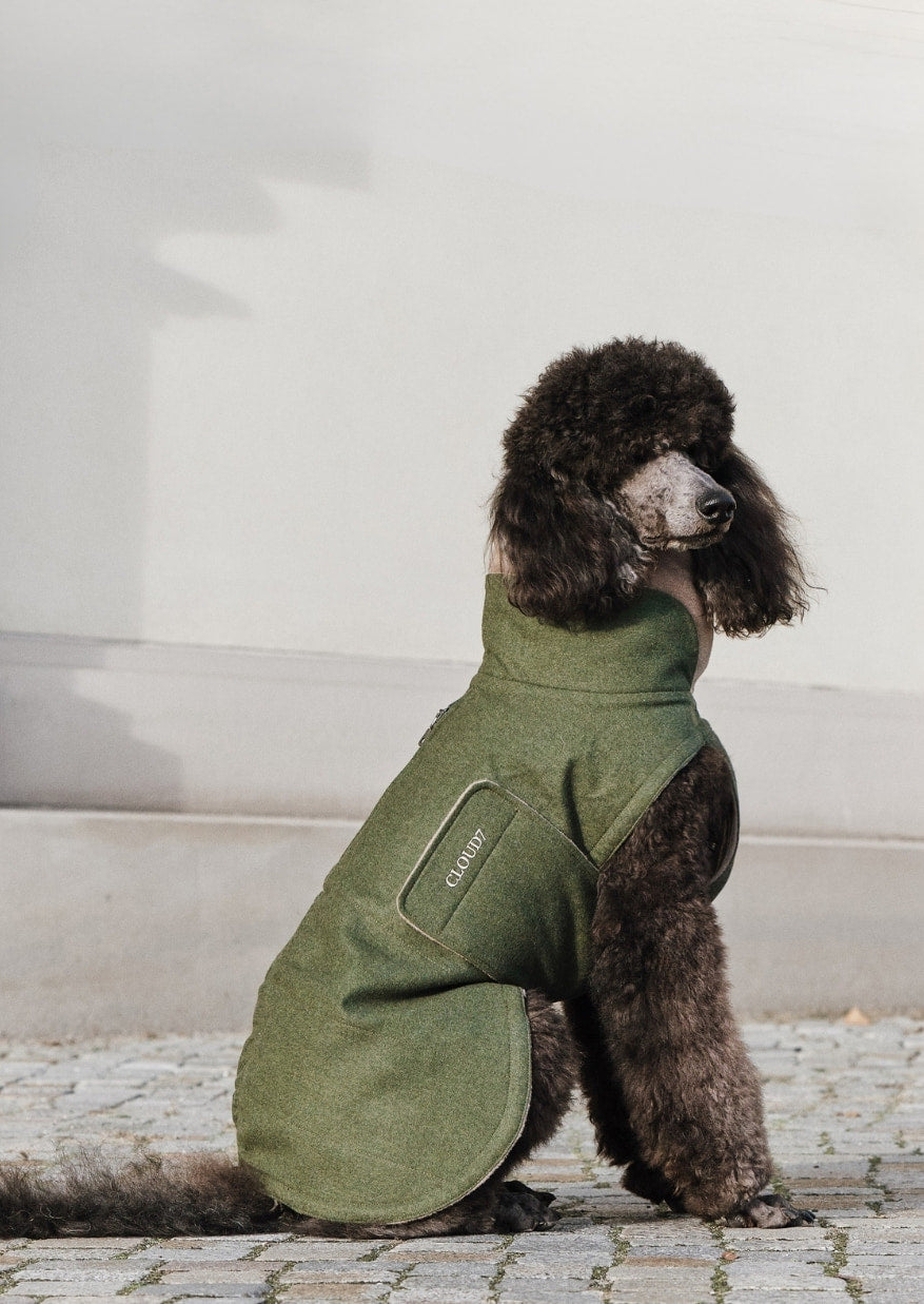 CLOUD7 - Buy high-quality & stylish products for your dog