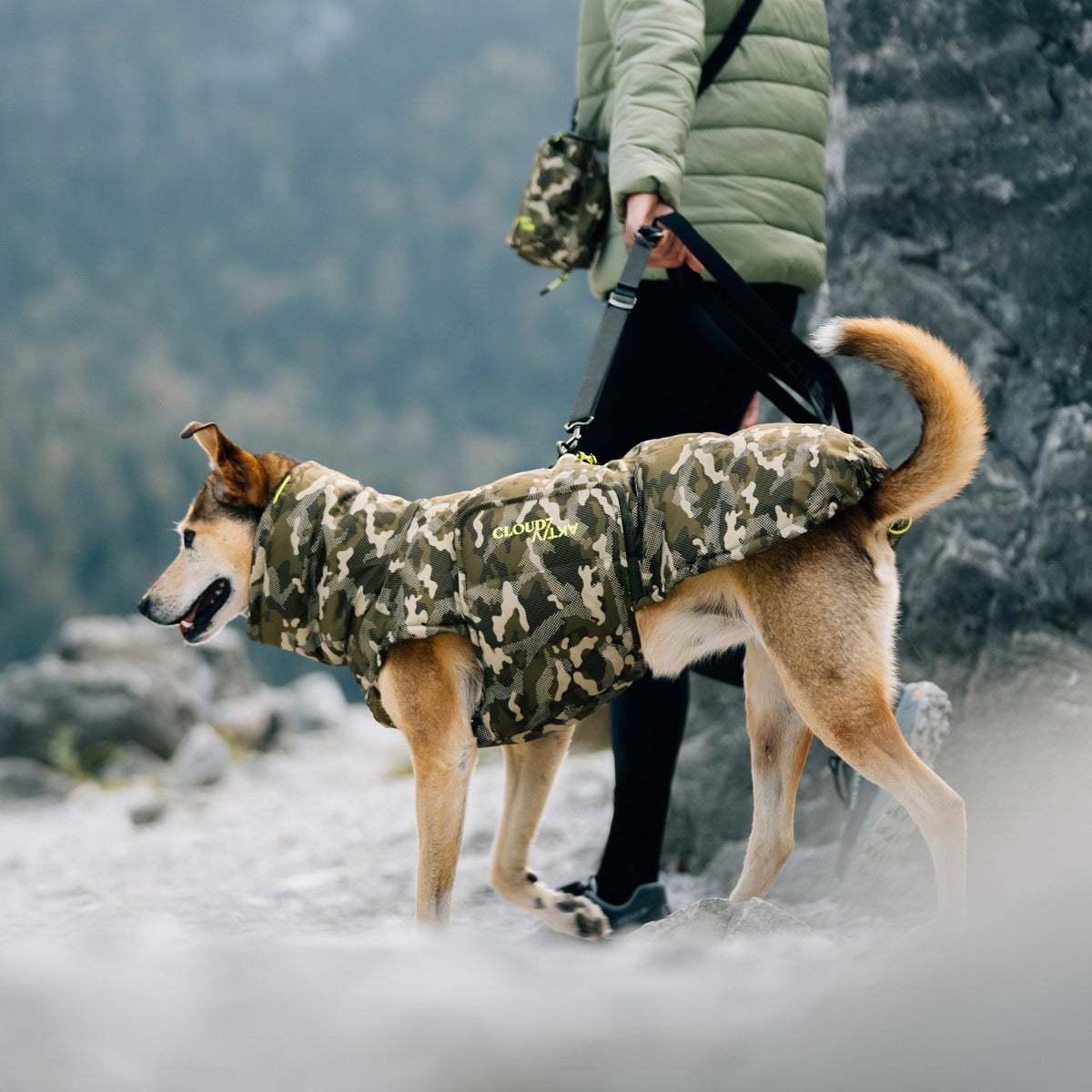 Dog Coat Alaska AKTIV Camo