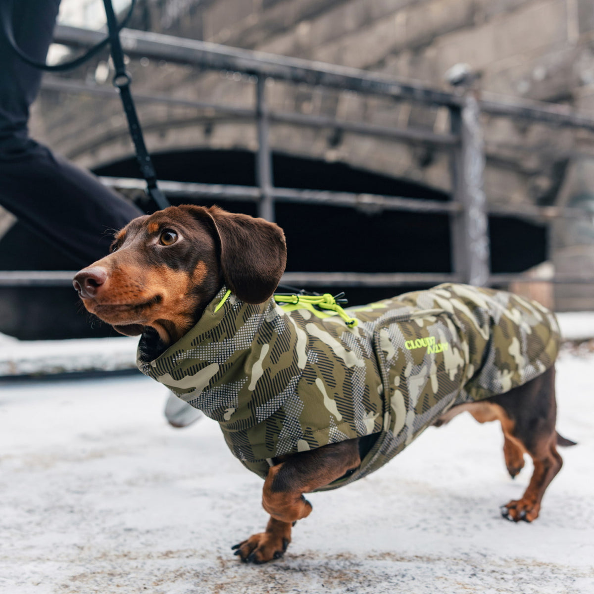 Dog Coat Dachshund Alaska AKTIV Camo