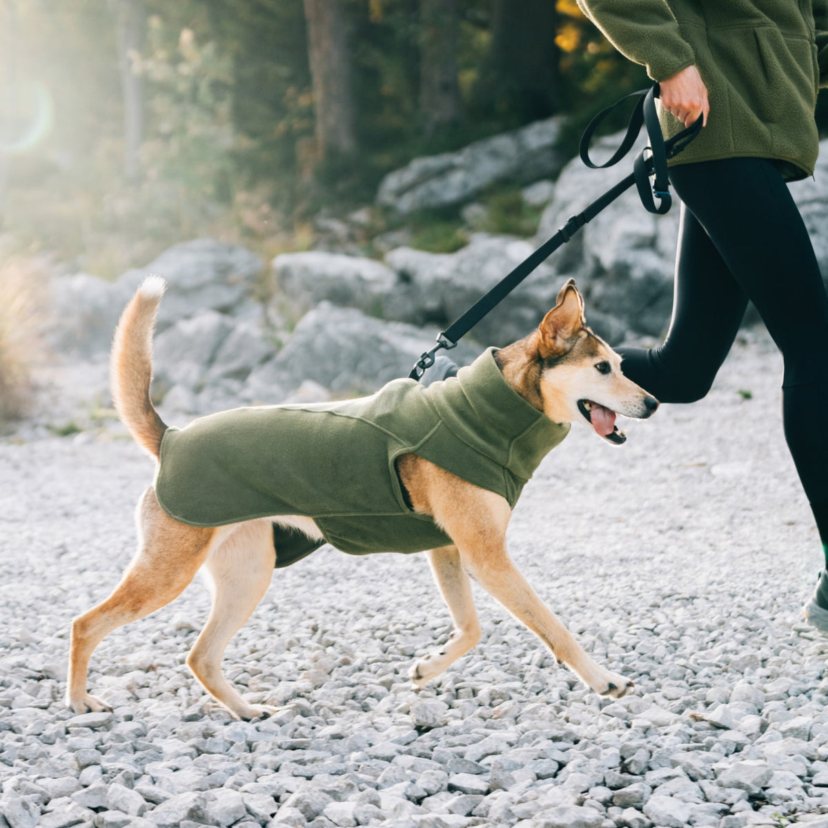 Dachshund Body Warmer AKTIV Black