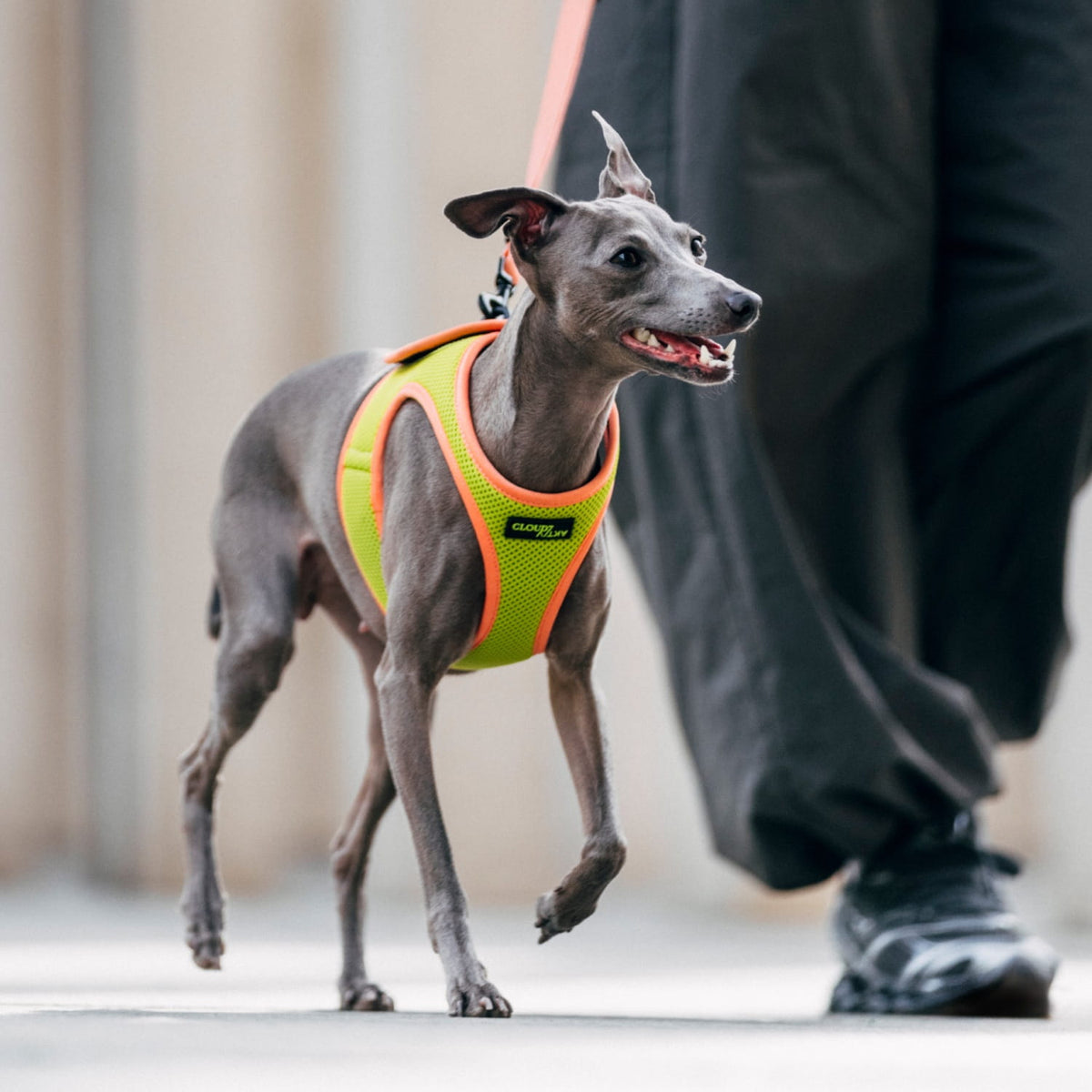 V-1 Vest Harness AKTIV Air-Mesh Peach/Neon Green