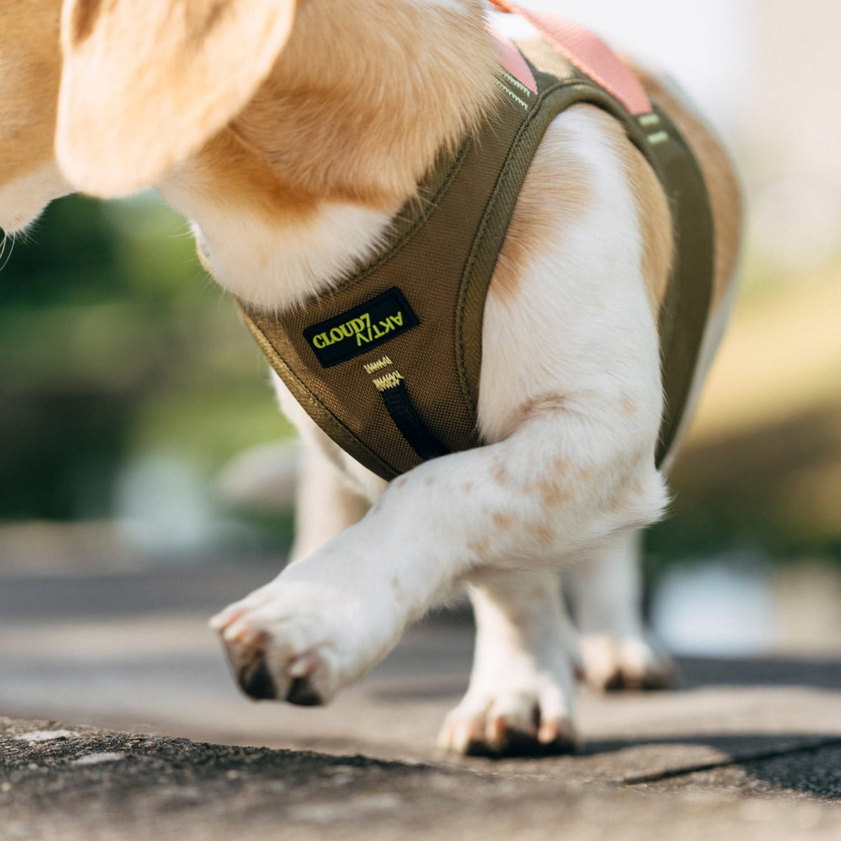 V-2 Vest Harness AKTIV Cordura Khaki/Peach