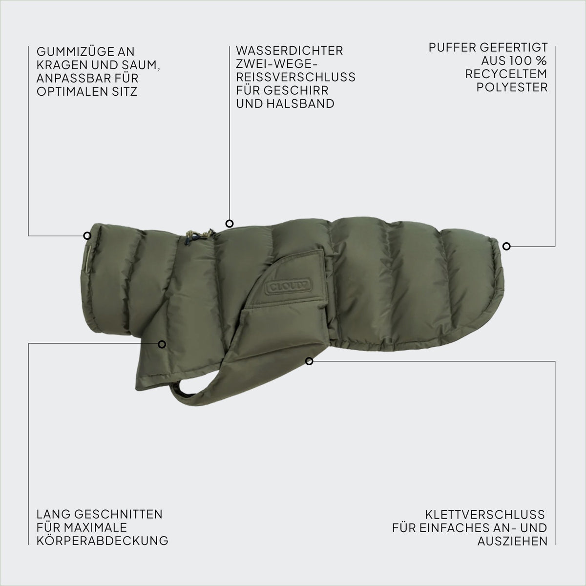 Hundemantel Everest Light Olive