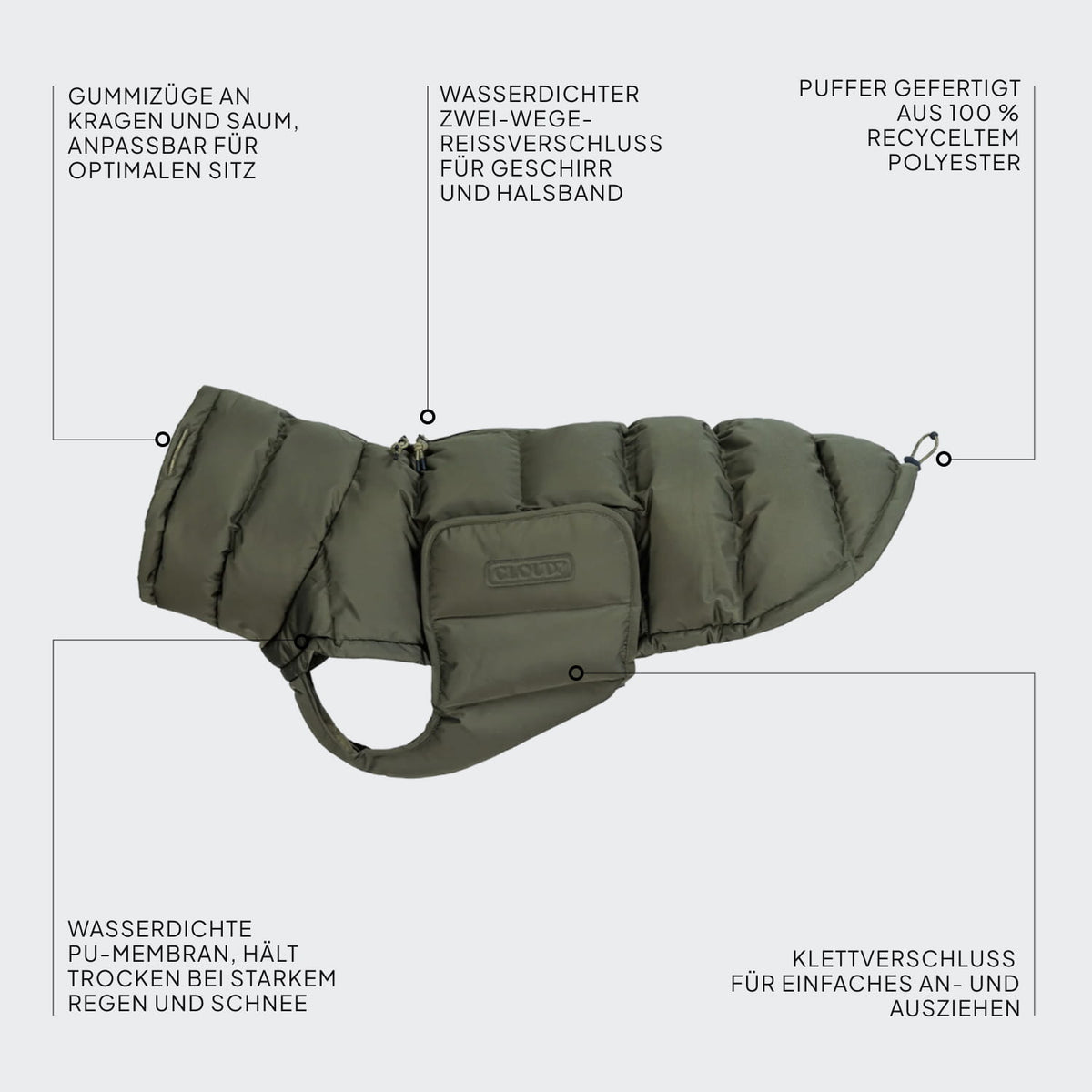 Dachshund Coat Alaska Light Olive