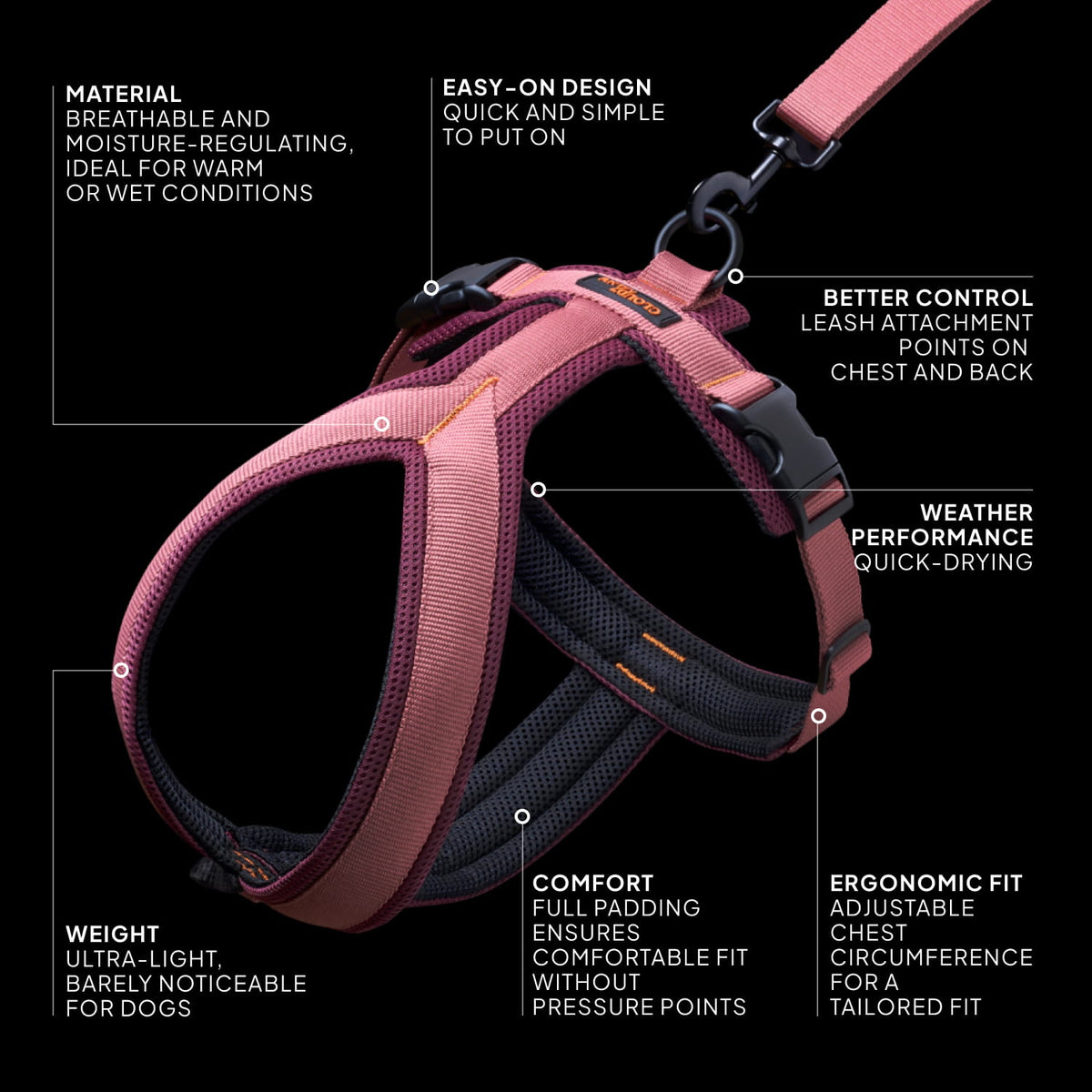 Y-1 Harness AKTIV Air-Mesh Black