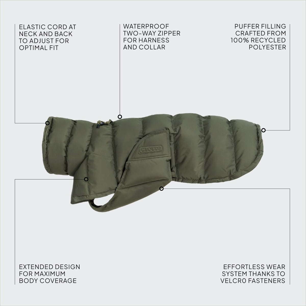 Dog Coat Everest Light Olive