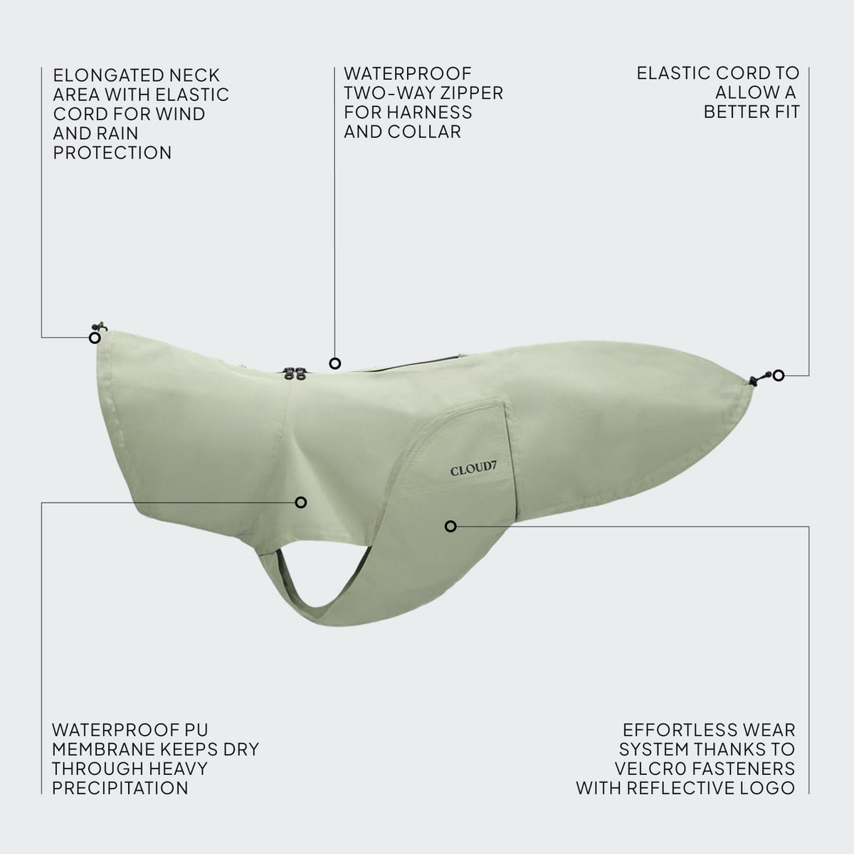 Dachshund Raincoat Dublin 2.0 Dusty Mint