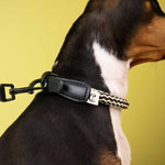 Hundehalsband Mauerpark Zigzag Black