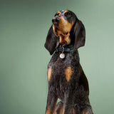Hundemarke mit Gravur Silber (beidseitig)
