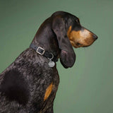 Hundehalsband Riverside Park Black Silver