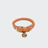 Hundehalsband Ravello Pumpkin