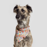 Cloud7 Bandana Hundetuch Hundehalstuch Flower Meadow Hund