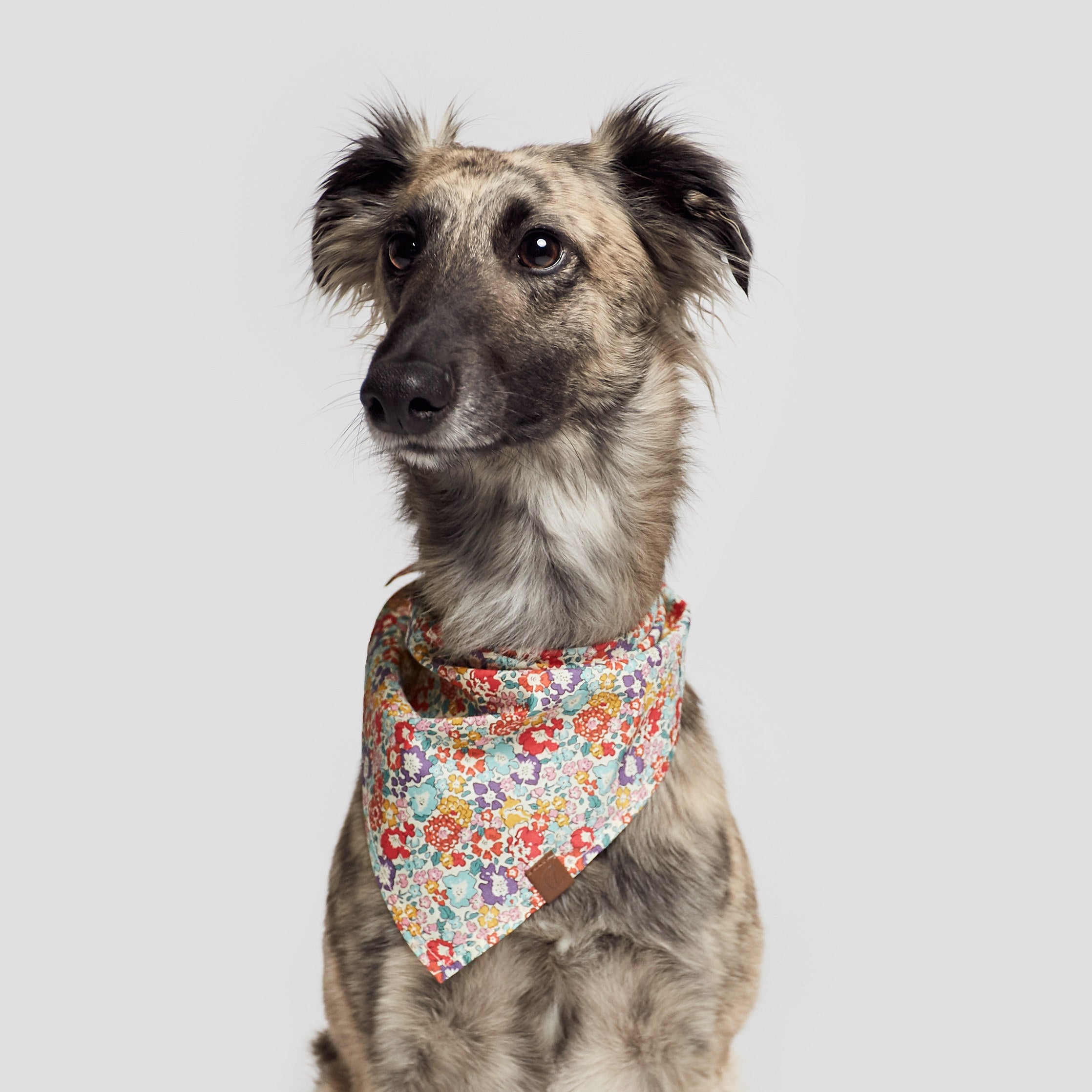 Cloud7 Bandana Hundetuch Hundehalstuch Flower Meadow Hund