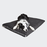 border collie sleeping on outdoor dog bed Siesta in a dark grey colour