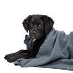 Hundedecke Soft Fleece Dove Blue