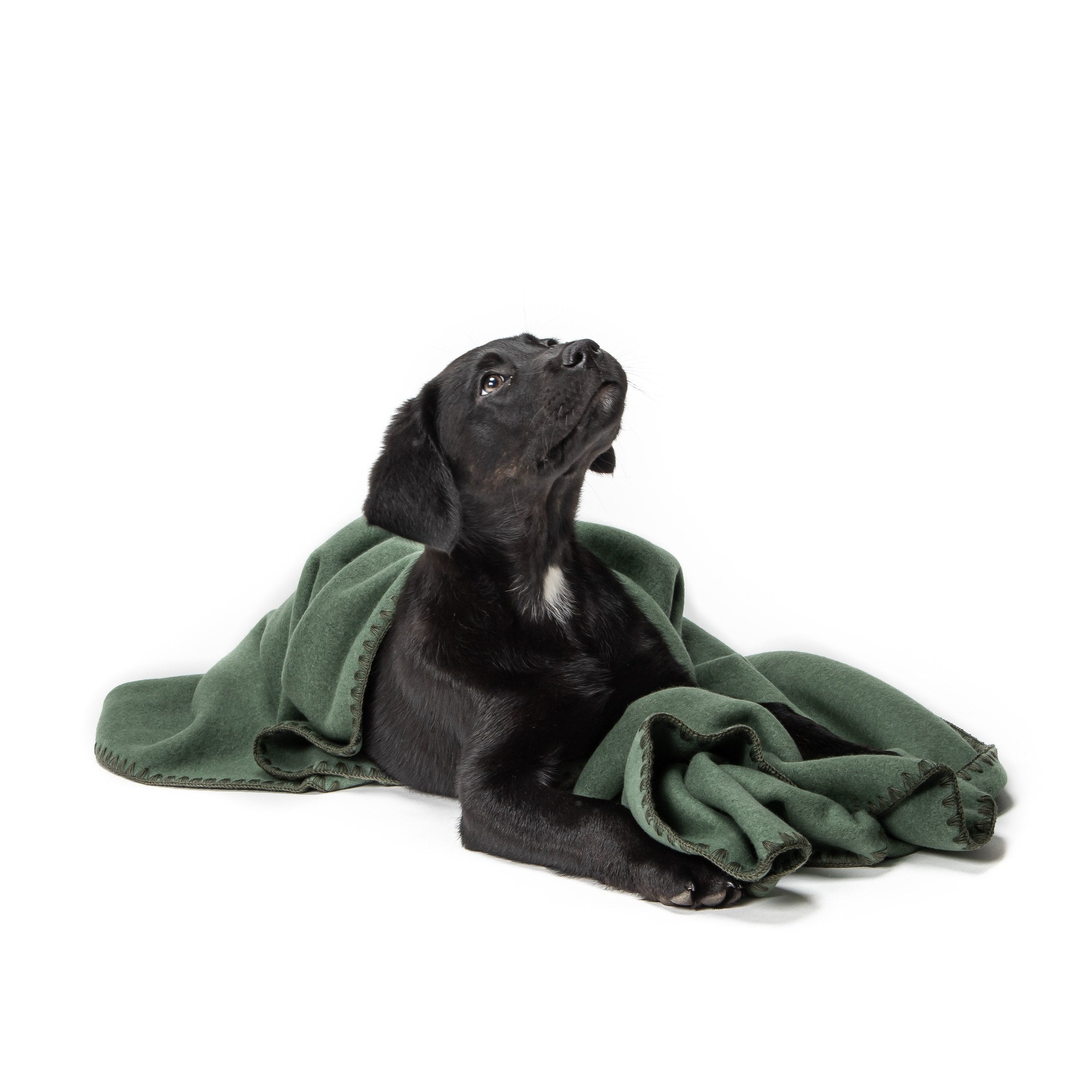 Hundedecke Soft Fleece Dusty Green