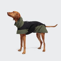 Dog wearing Coat Everest