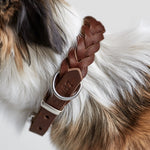 Hundehalsband Central Park Saddle Brown Silver