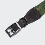 Hundehalsband Grunewald Green - Coffee