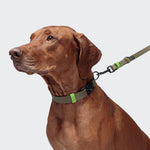 Hundehalsband BioThane Ipanema Olive-Neongreen