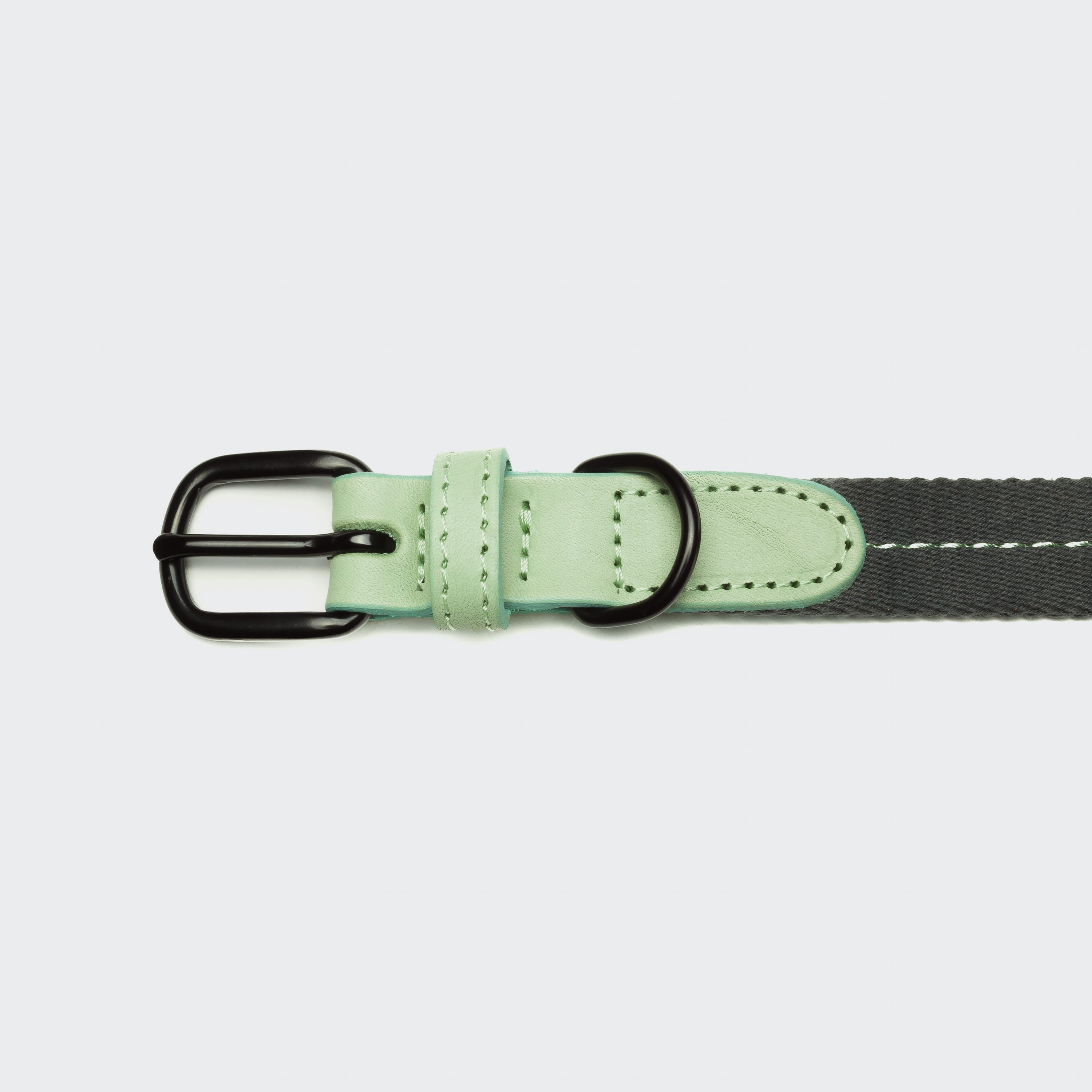 Hundehalsband Madeira Mint