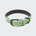 Hundehalsband Madeira Mint