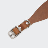 Windhundhalsband Regent Park Camel Silver