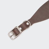 Windhundhalsband Regent Park Saddle Brown Silver