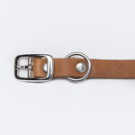 Silver buckle of a light brown leather dog collar