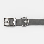 Silver buckle of a grey leather dog collar