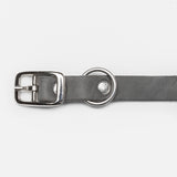 Silver buckle of a grey leather dog collar