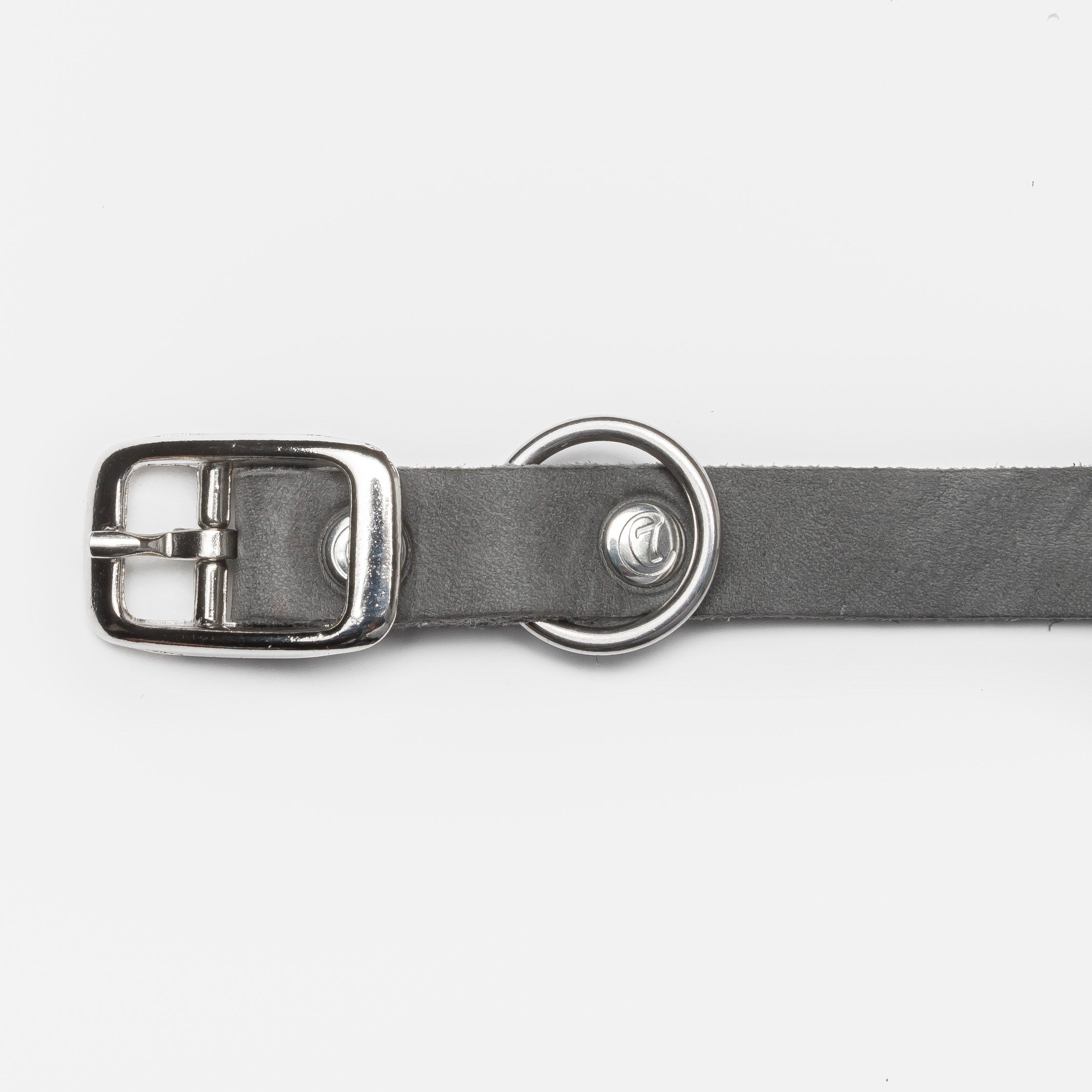 Silver buckle of a grey leather dog collar