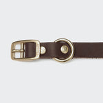 Hundehalsband Riverside Park Saddle Brown Gold