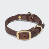 Hundehalsband Riverside Park Saddle Brown Gold