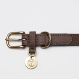 brown leather collar with golden buckle